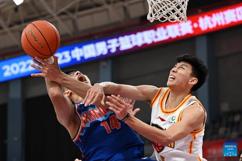 全球参赛队